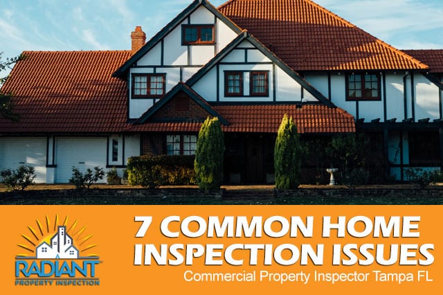 Common Home Inspection Issues