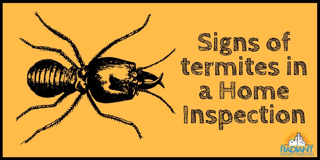 Signs of termites in a Home Inspection